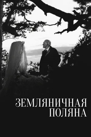 Земляничная поляна