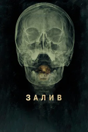 Залив