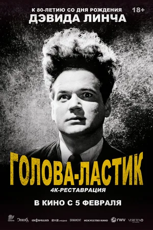 Голова-ластик